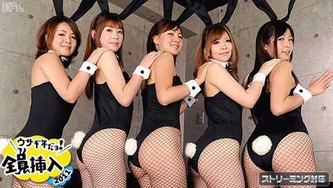 It Is Rabbit Year Insert All 