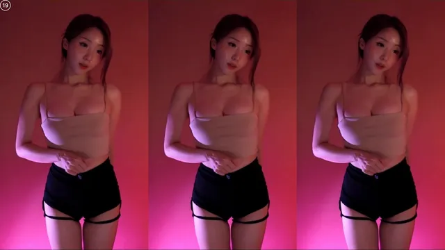 [Korean BJ] dlsgk1763 2024-10-29 
