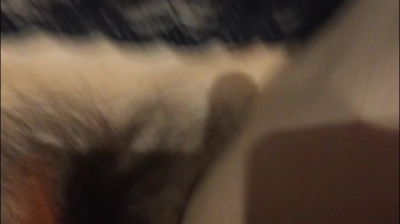 Mature women scream in bed continuously (91 national wolf friends exchange and sharing group V letter into the group 9.99) 