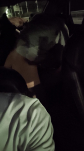 I drove the car and the single man had sex in the back seat. Too exciting. 